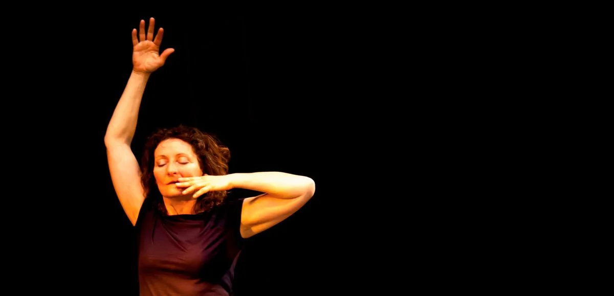 Compagnie danse contemporaine - Cie Lamdanse à Toulouse